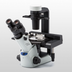 CKX53倒置显微镜